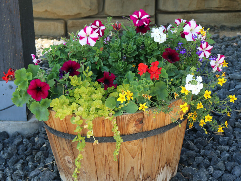 Coal Miners's Bucket Park, 2025 flower container
